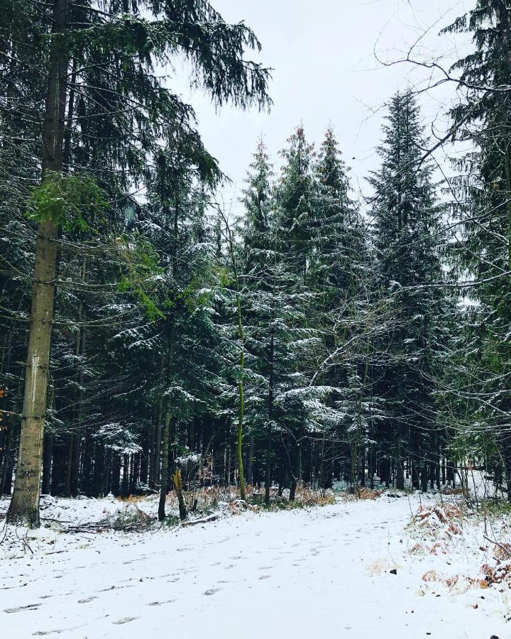 Beskid Wood Houses Jasnowice Kültér fotó
